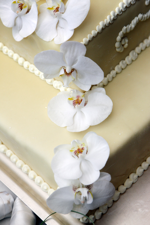 close up shot of wedding cake with gold icing and white floral decor - photo by Italian wedding photographer JoAnne Dunn